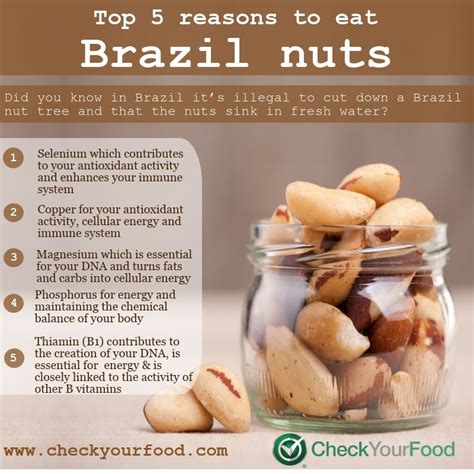 nutritional benefits of brazil nuts